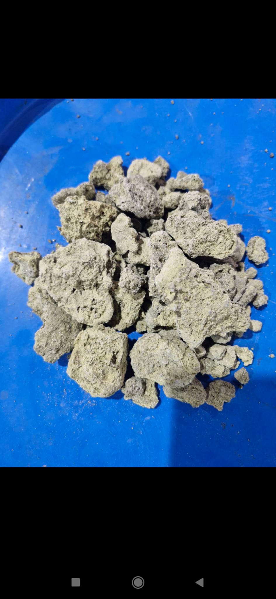 Molybdenum concentrate